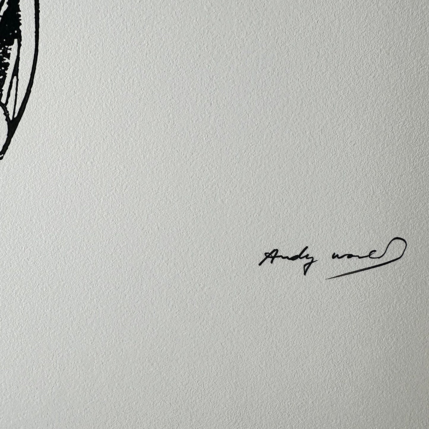 Andy warhol Superman