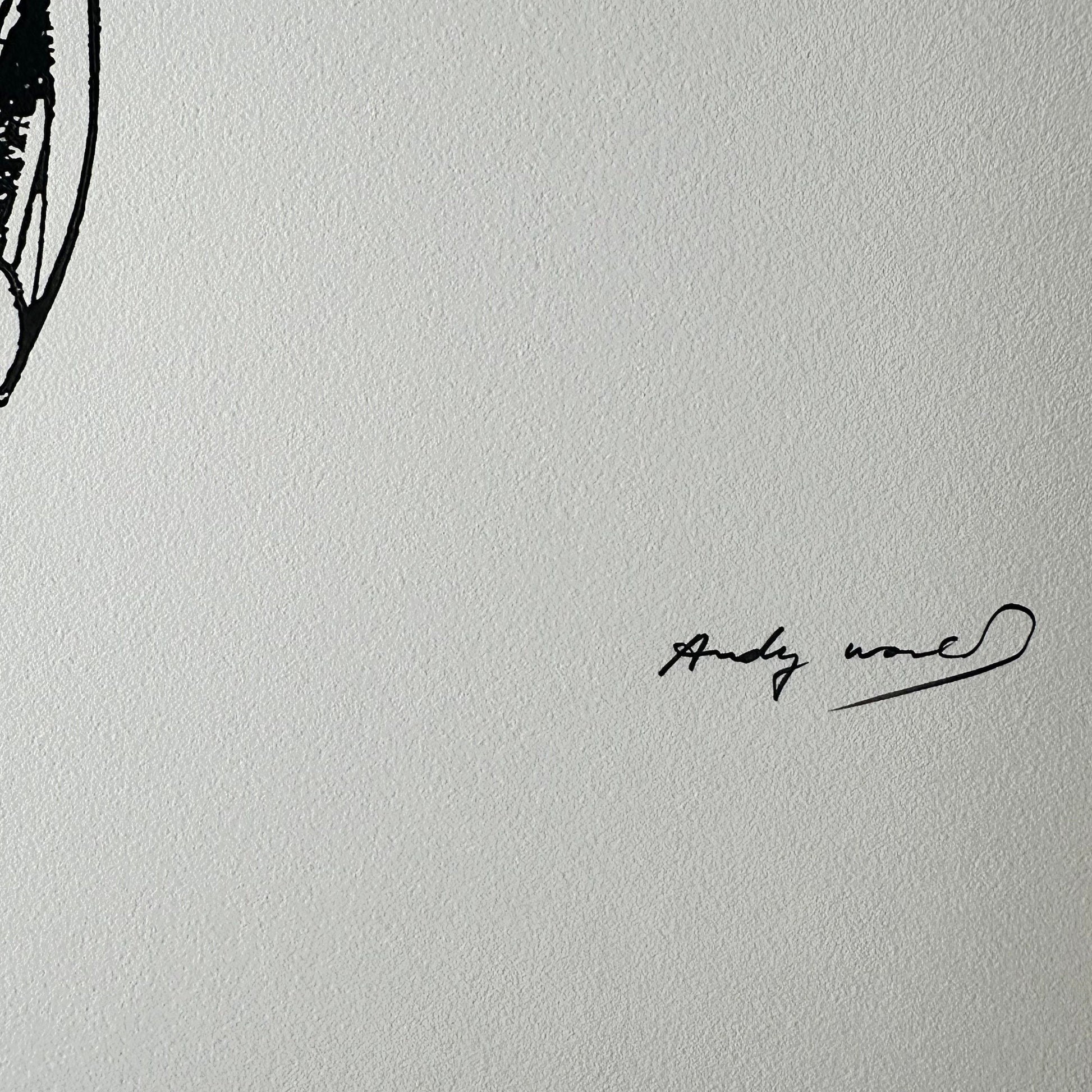 Andy warhol Superman
