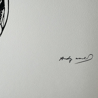 Andy warhol Superman