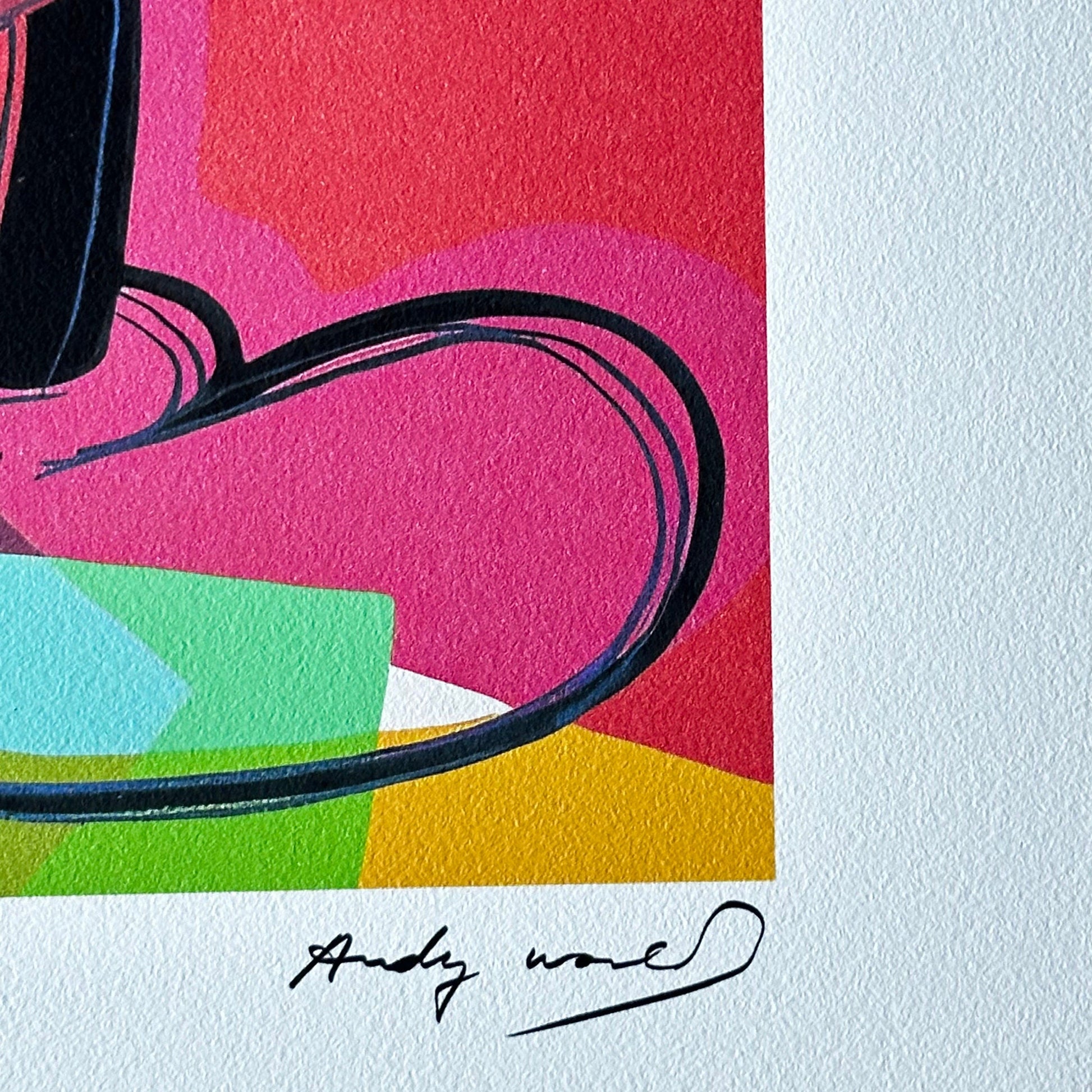 ANDY WARHOL double mickey