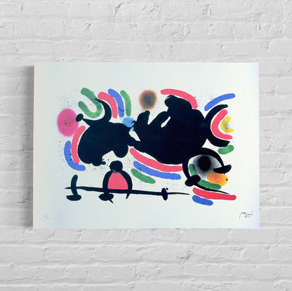 Joan miro
