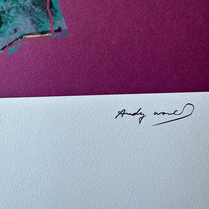 Andy Warhol Alexander de grote