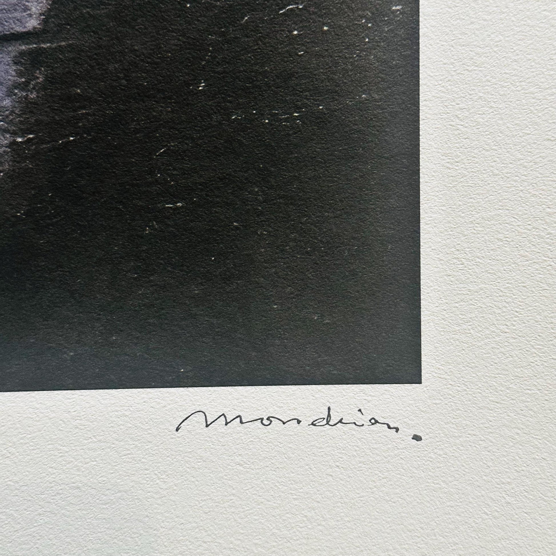 Genummerde editie PIET MONDRIAAN -Windmolen met maan - Certificaat - Limited lithografie - muurdecoratie - after