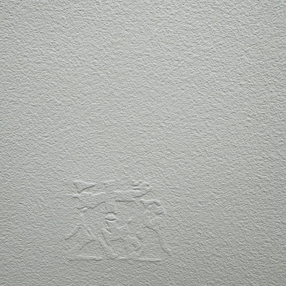 Genummerde editie BANKSY detonate Gesigneerd- certificaat - Banksy Grafitti Art, Banksy Wall Art, Banksy Lithograph, Banksy Gift, after