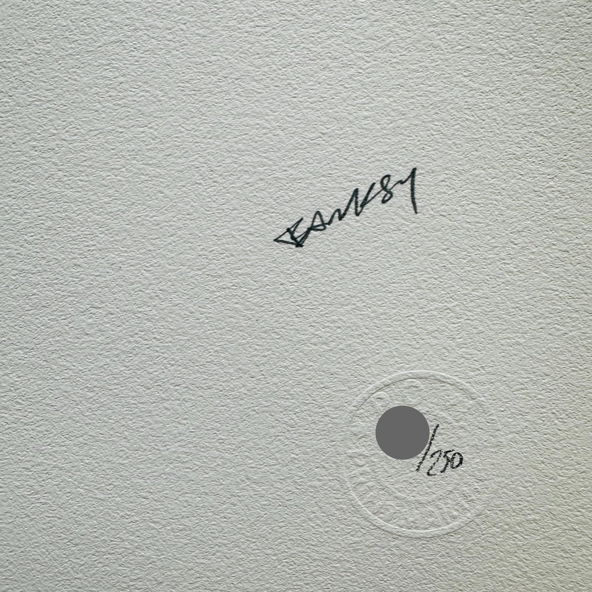 Genummerde editie BANKSY detonate Gesigneerd- certificaat - Banksy Grafitti Art, Banksy Wall Art, Banksy Lithograph, Banksy Gift, after