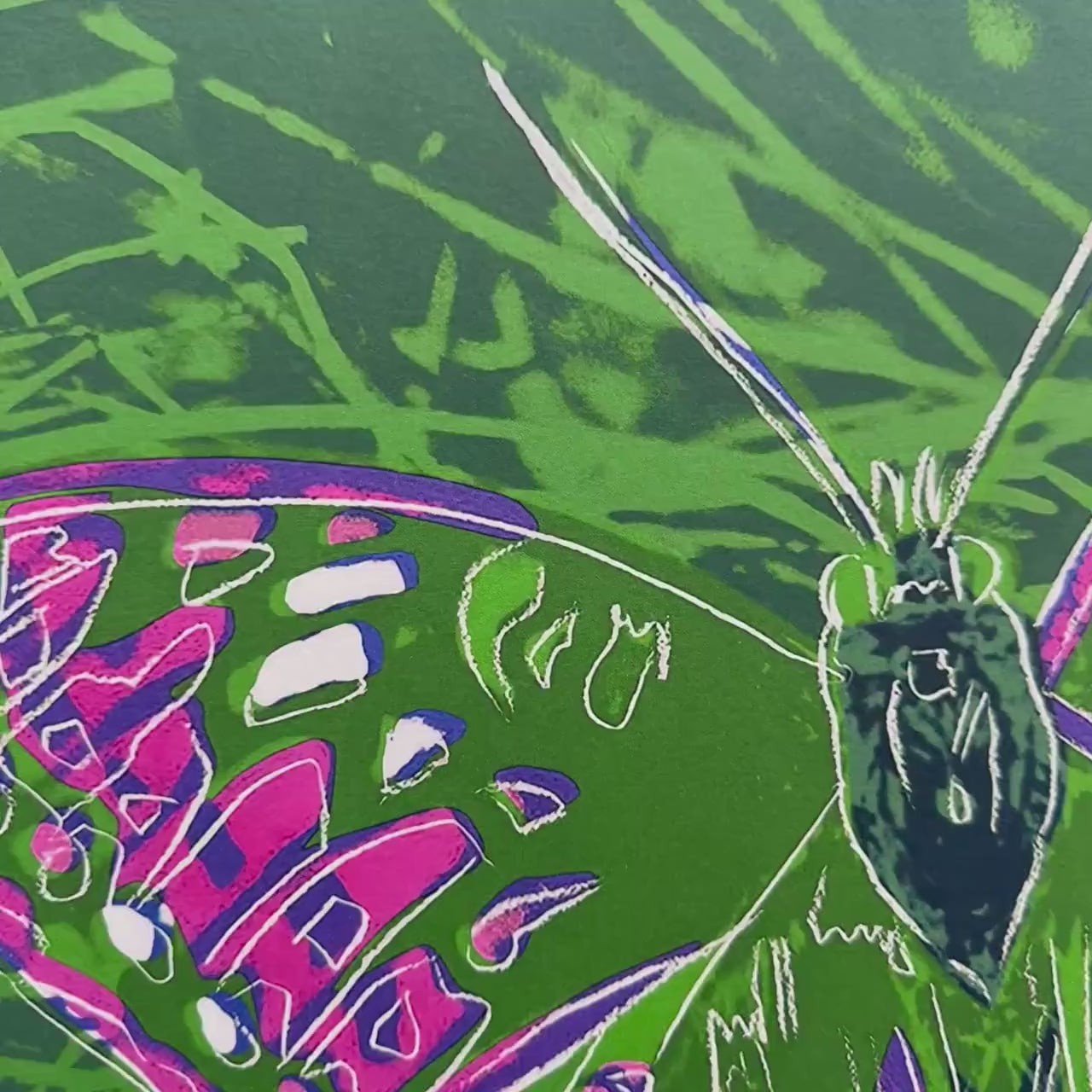Andy Warhol – ‘Vlinder (Dieren)’ – Gelimiteerde en genummerde editie